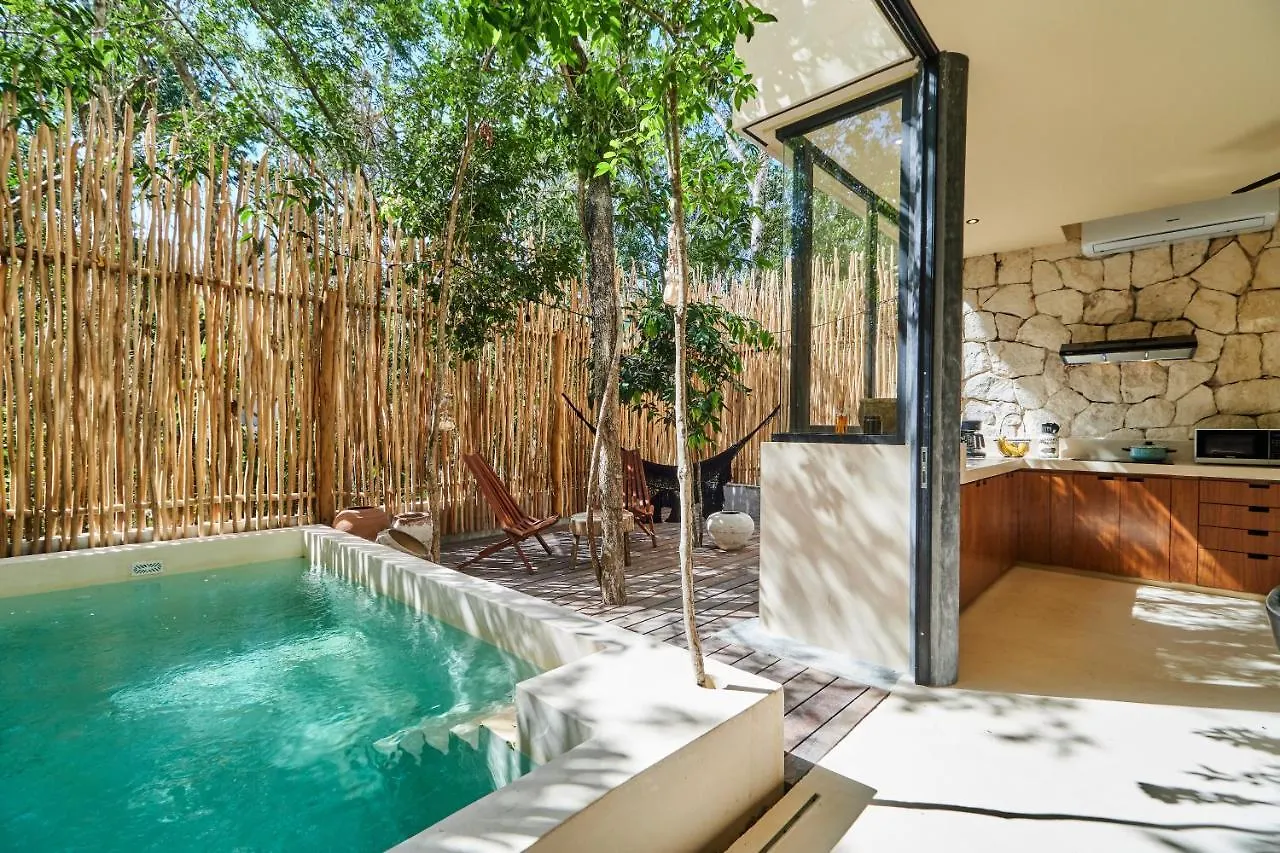 Afra 3 Fantastica Casa En La Selva Espaciosa Con Piscina Apartment Tulum