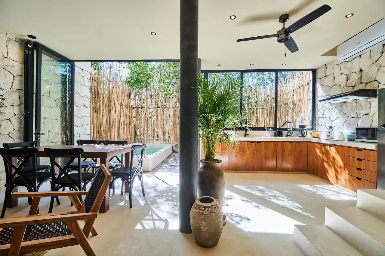 Afra 3 Fantastica Casa En La Selva Espaciosa Con Piscina Apartment Tulum Mexico