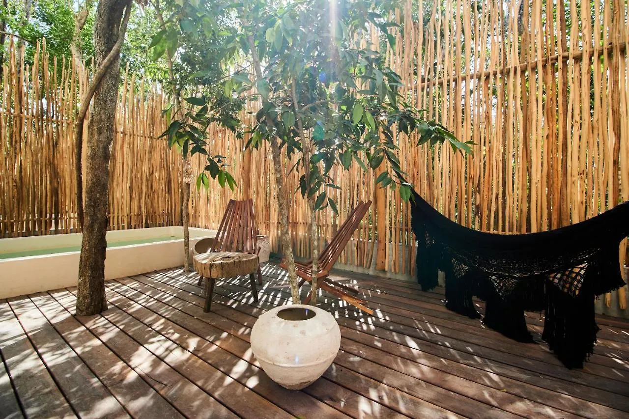 Afra 3 Fantastica Casa En La Selva Espaciosa Con Piscina Apartment Tulum 0*,