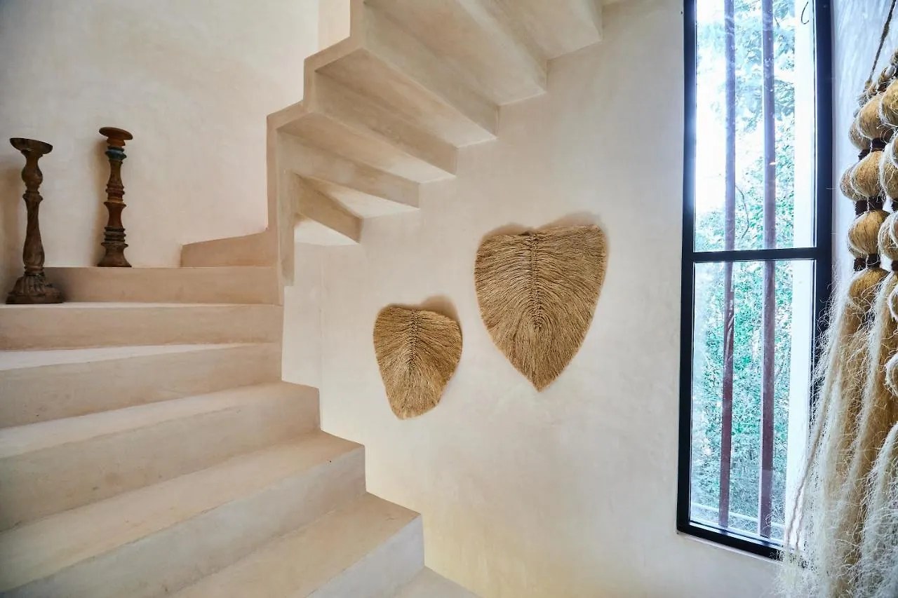 Afra 3 Fantastica Casa En La Selva Espaciosa Con Piscina Lägenhet Tulum