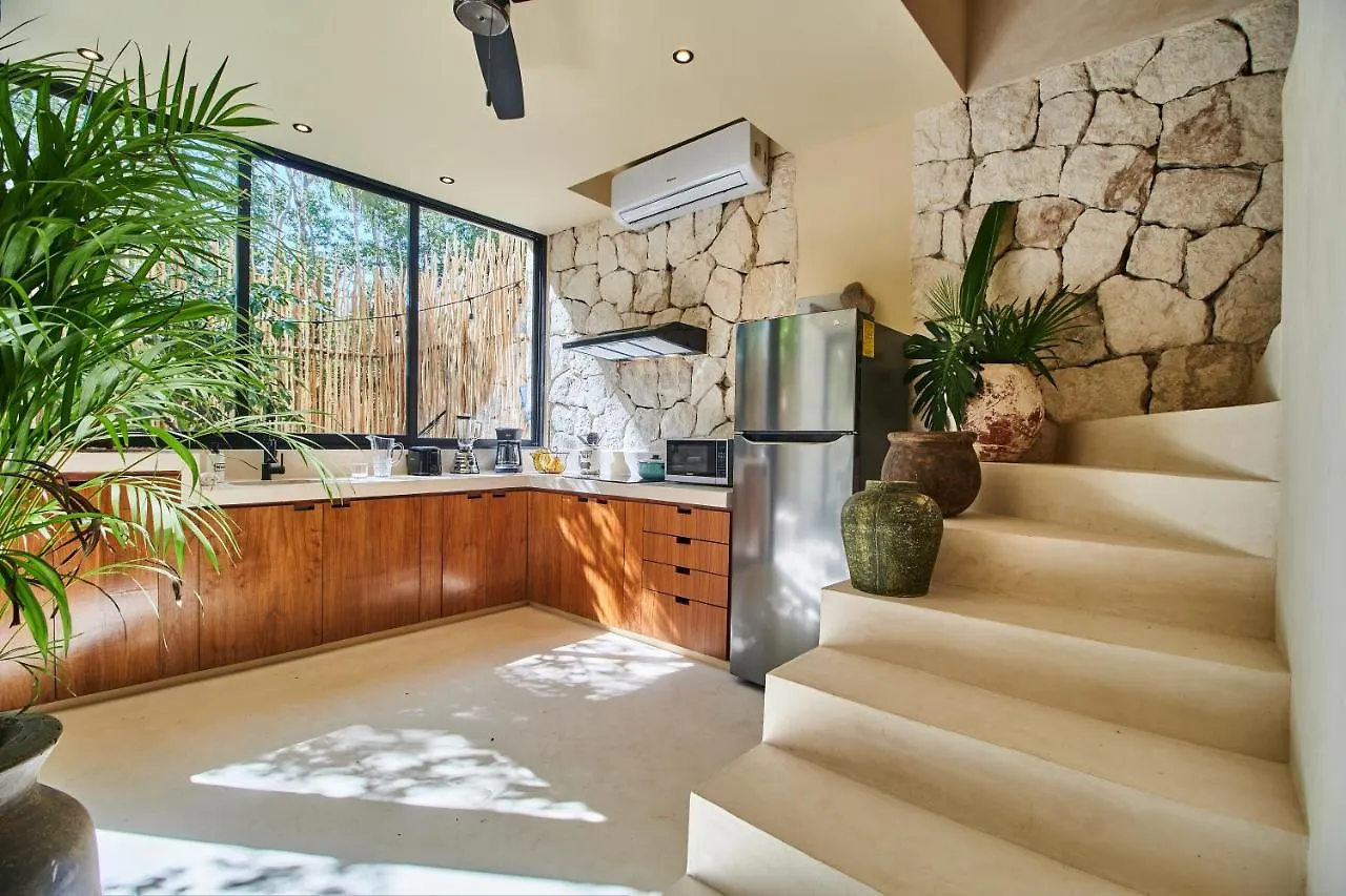 Afra 3 Fantastica Casa En La Selva Espaciosa Con Piscina Lägenhet Tulum