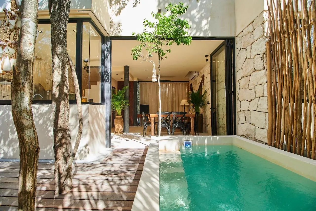 Afra 3 Fantastica Casa En La Selva Espaciosa Con Piscina Lägenhet Tulum